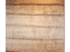 cc-tapis_26