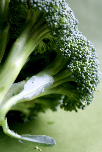Puré di broccoli molto versatile