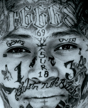 MS13