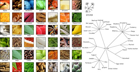 Foodpairing - Abbinamenti culinari