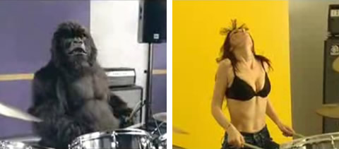 Gorilla vs Wonderbra