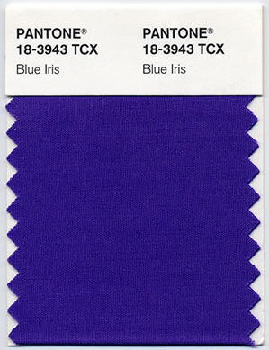 Pantone Blue Iris