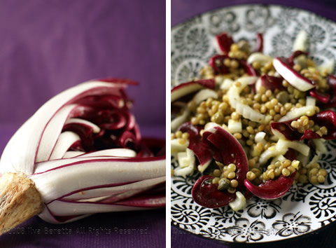 Insalata di lenticchie, radicchio trevigiano, sedano e capperi