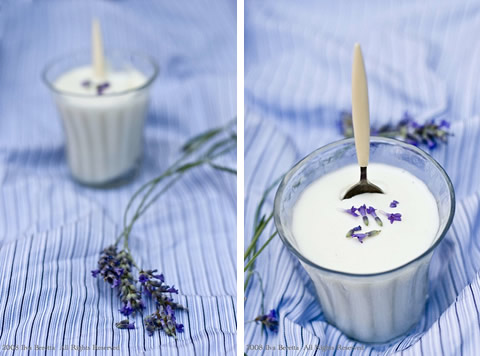 Panna cotta alla lavanda