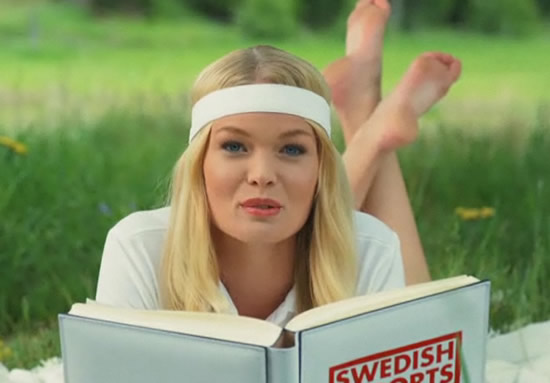 Are you a swedish export?