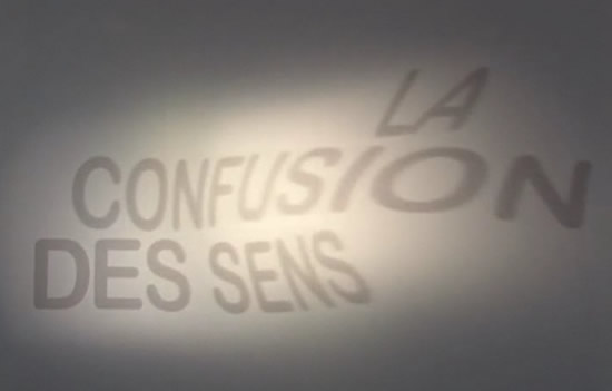 La Confusion Des Senses