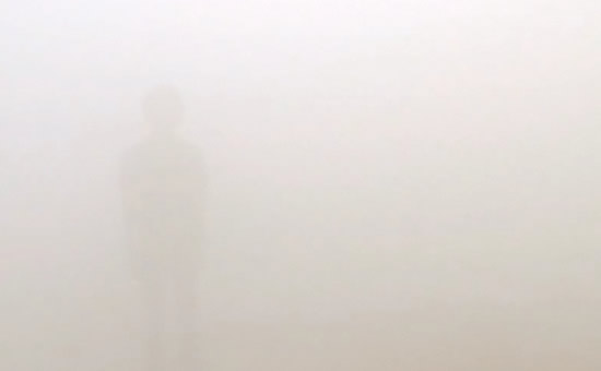 La Confusion Des Senses
