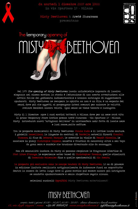 The Temporary Opening of Misty Beethoven