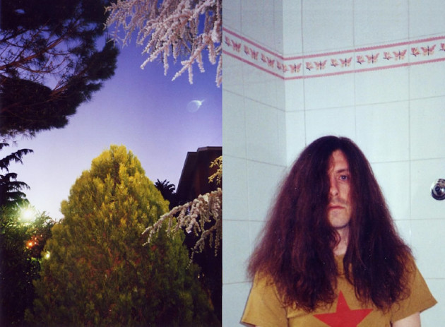 alessandro_ruggieri_01_bush
