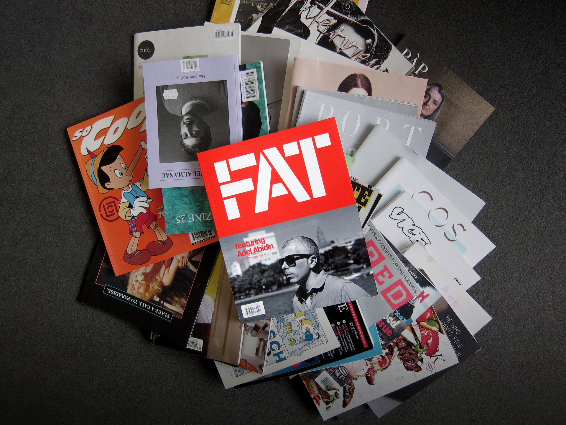 Fat Issues 23