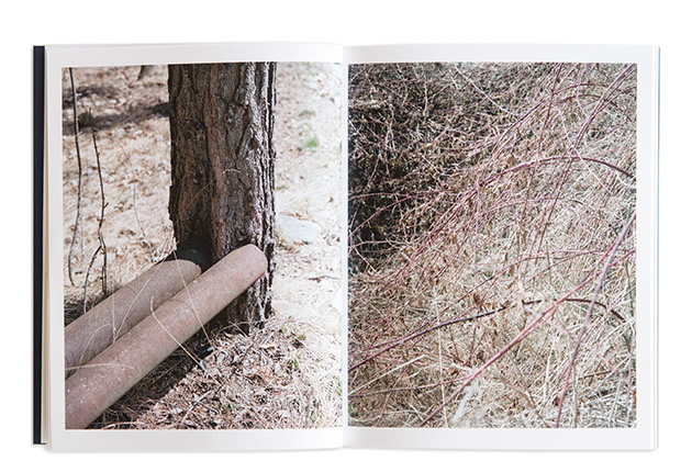 Thoreau | Alessandro Calabrese