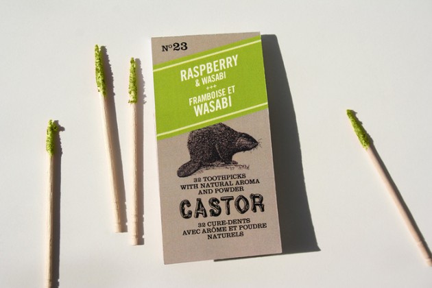 castor_1