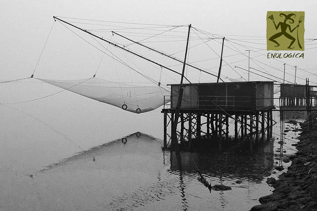 foto: Silenzi, Comacchio (dettaglio) | © Massimiliano Nucci