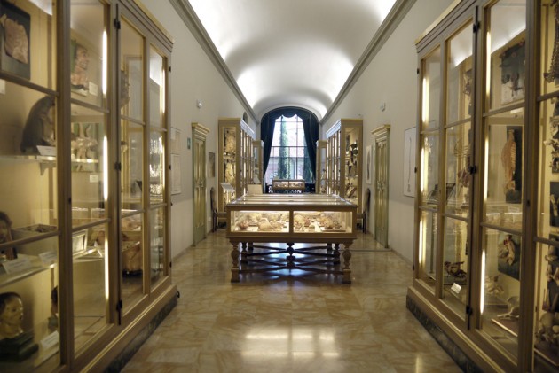 il Museo delle Cera Anatomiche di Bologna
