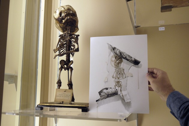 Museo delle Cere Anatomiche, Daniel Muñoz