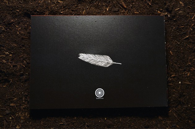 a_trumpet_and_a_feather_02