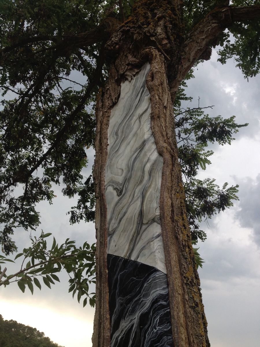 Mirko Canesi, “F/R”, intervento su albero colpito da fulmine, muro a gesso dipinto con effetto marmo nella cavità di un albero, Madeinfilandia, Toscana, 2014