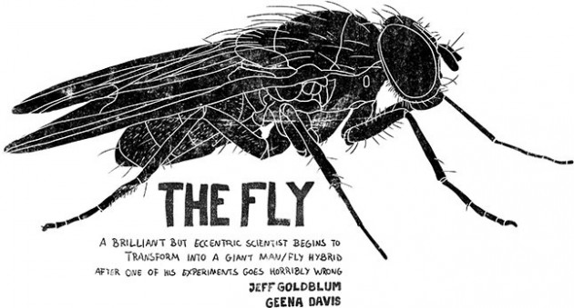 15-thefly_22_646