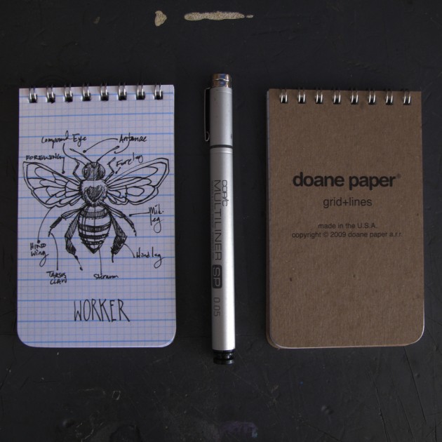bee2