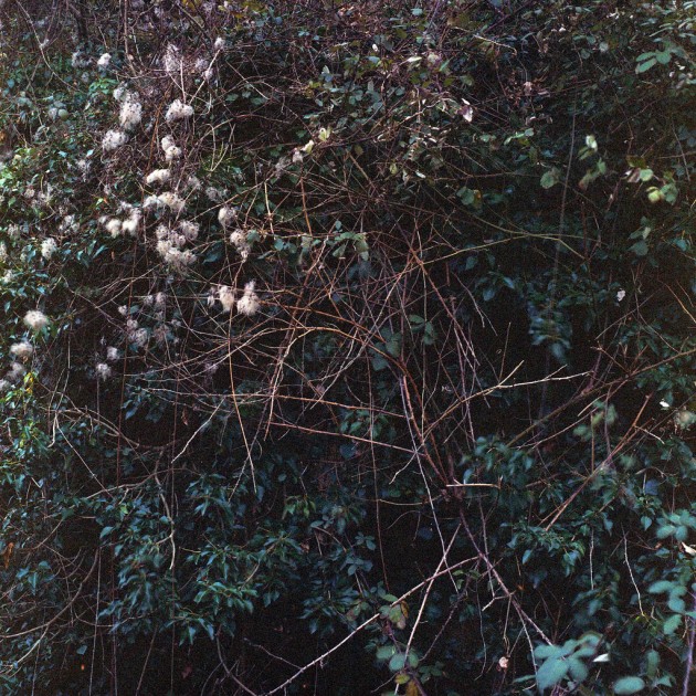 alessandro_petriello
