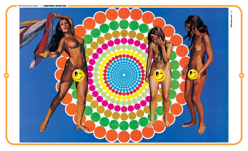 psychedelic_sex_book_16