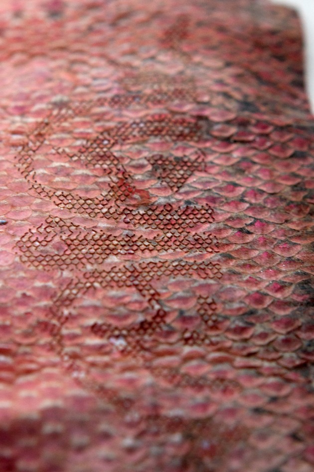 fishskin_2