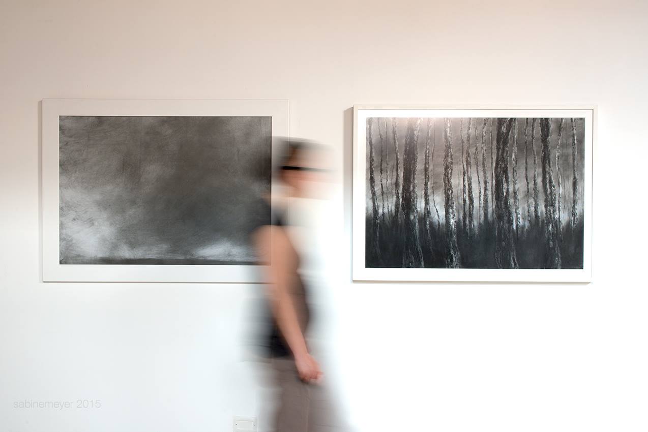 Cartografie dell' immaginario Lucilla Candeloro, “paesaggio”, 2015 (foto: Sabine Meyer)