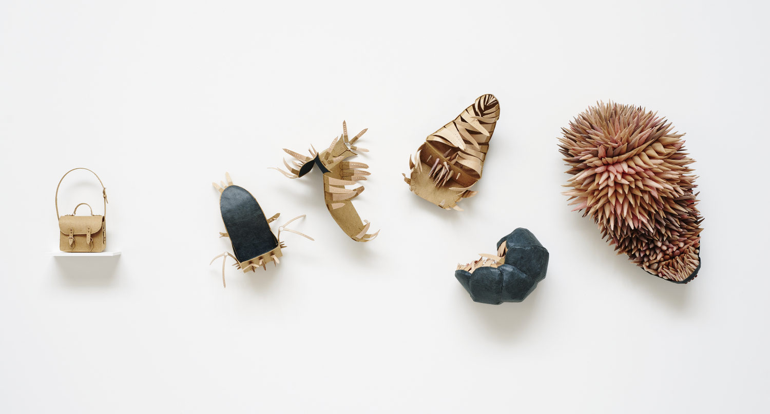 Cybèle Young, “It came with me everywhere”