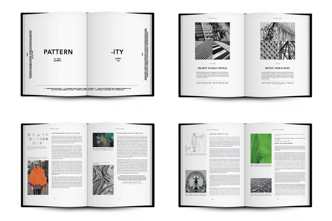 PATTERNITY: A New Way Of Seeing: The Inspirational Power Of Pattern, Conran 2015