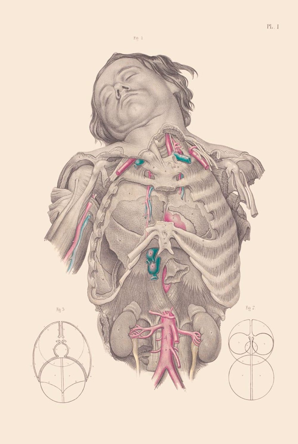 “Crucial Interventions”, di Richard Barnett, Thames & Hudson 2015