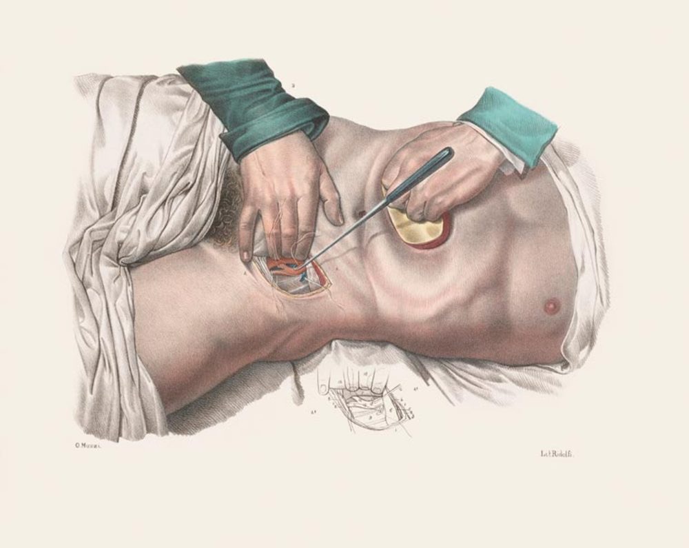 “Crucial Interventions”, di Richard Barnett, Thames & Hudson 2015