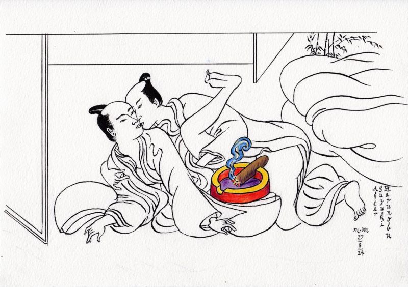 “Modern Shunga”, di Matthew Martin, Blue Rider Press 2015