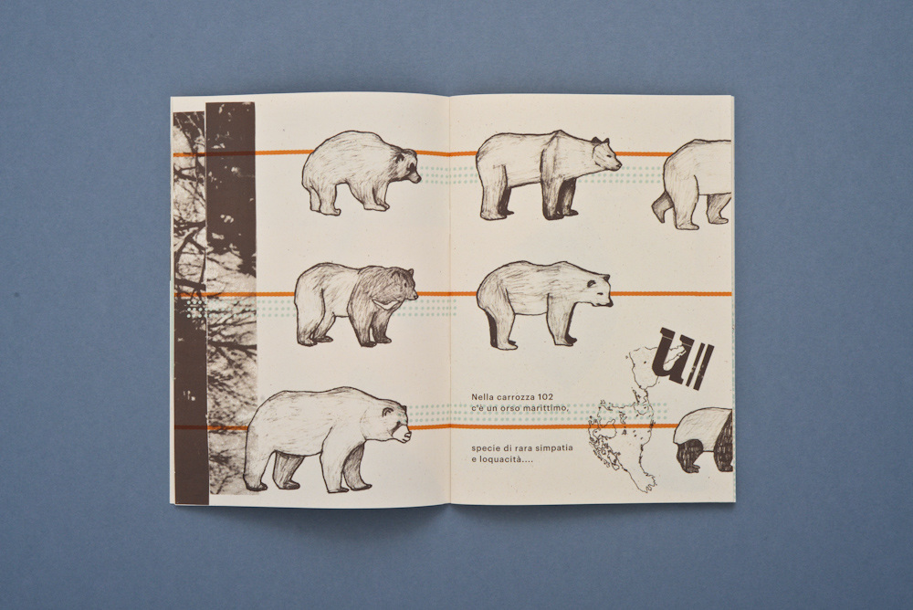 “La Storia dell'Orso Marittimo”, scritta da Lara Caputo e illustrata da Alice Lotti
