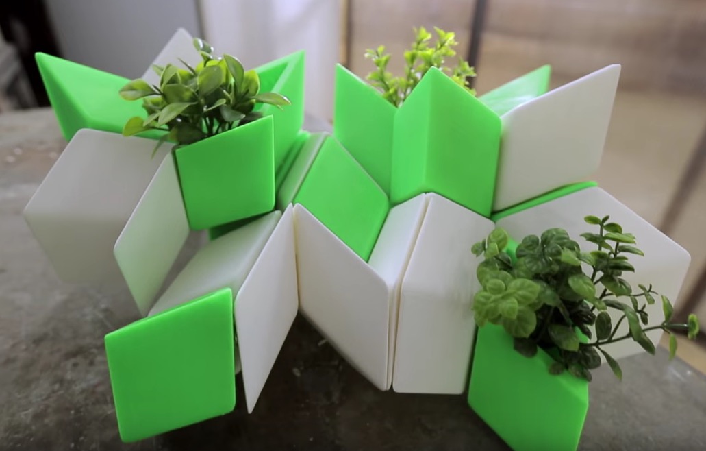 Sara Vignoli, “3D Elements of Nature”