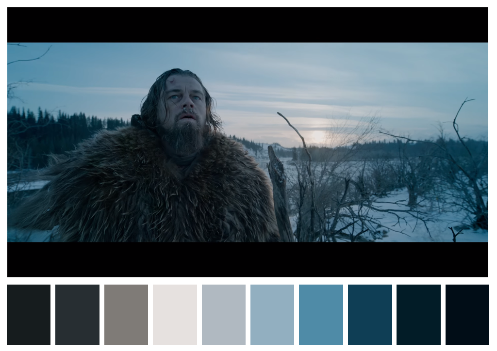 Revenant - Redivivo, di Alejandro González Iñárritu, 2015