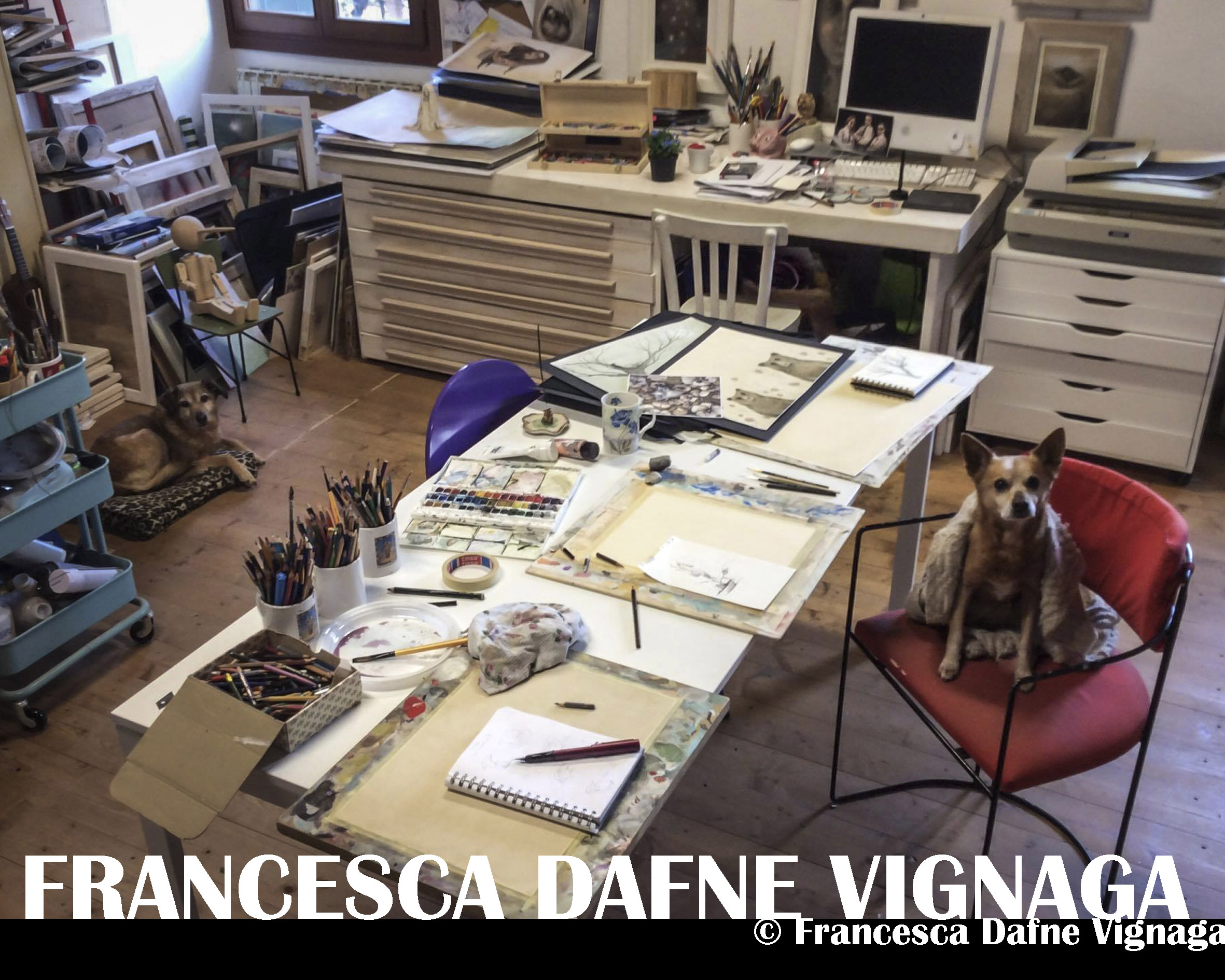 Francesca Dafne Vignaga