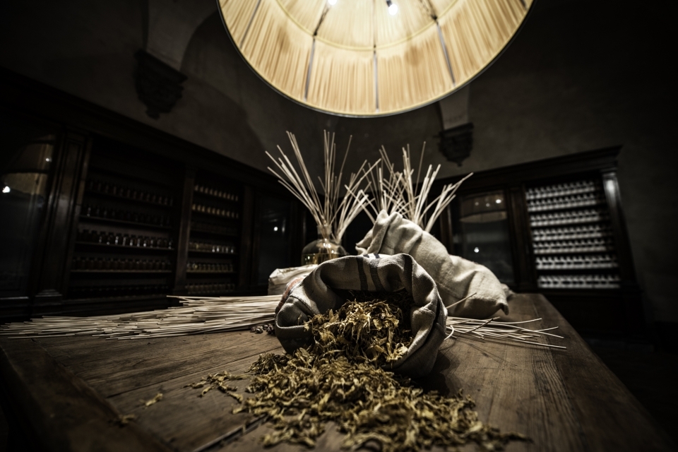 (courtesy: Florence Parfum)