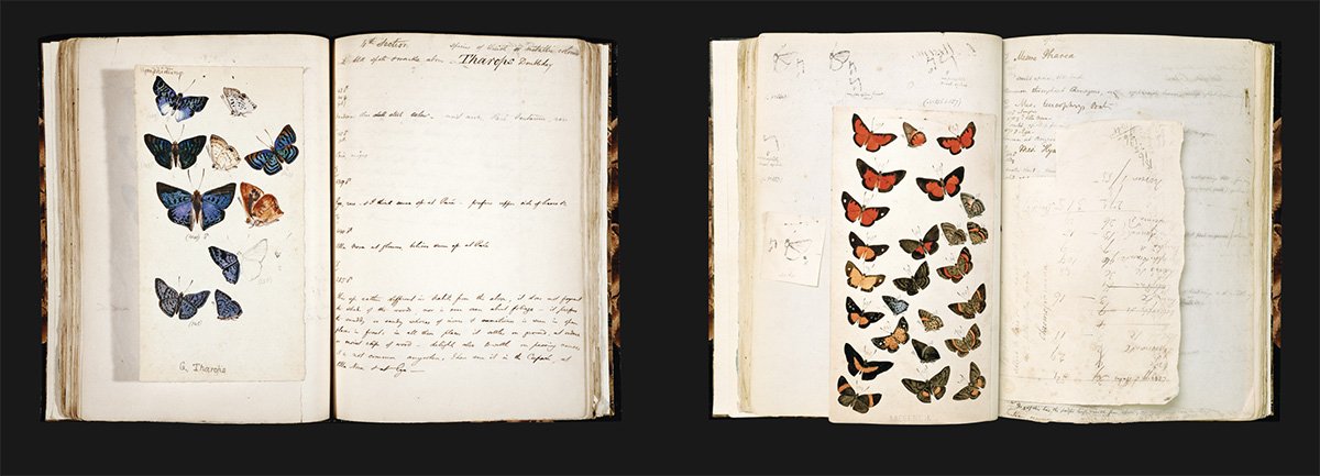 “Explorers' Sketchbooks: The Art of Discovery & Adventure”, di Huw Lewis-Jones e Kari Herbert, Thames & Hudson, settembre 2016