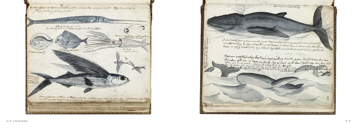 “Explorers' Sketchbooks: The Art of Discovery & Adventure”, di Huw Lewis-Jones e Kari Herbert, Thames & Hudson, settembre 2016