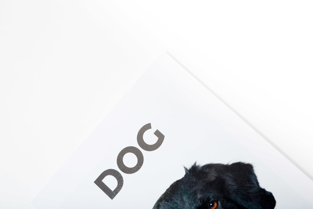 dog_9