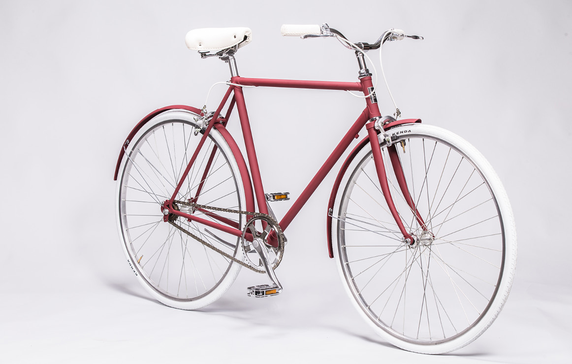 b.ciclo blight