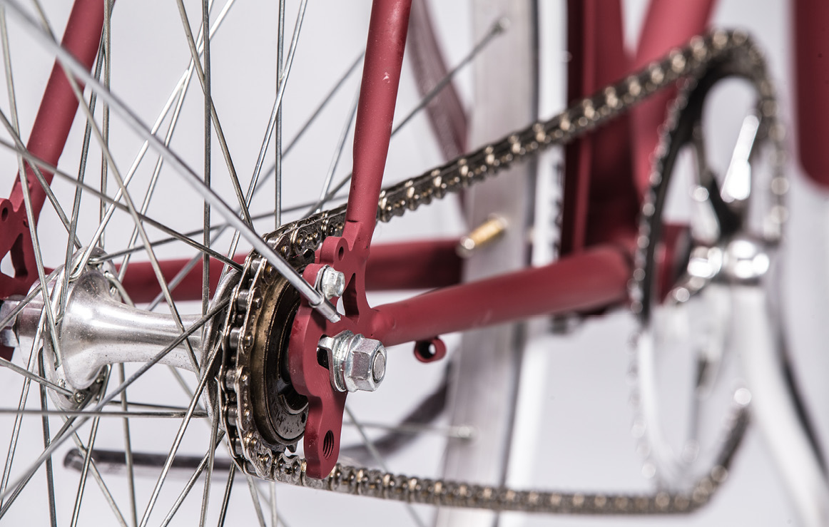 b.ciclo blight