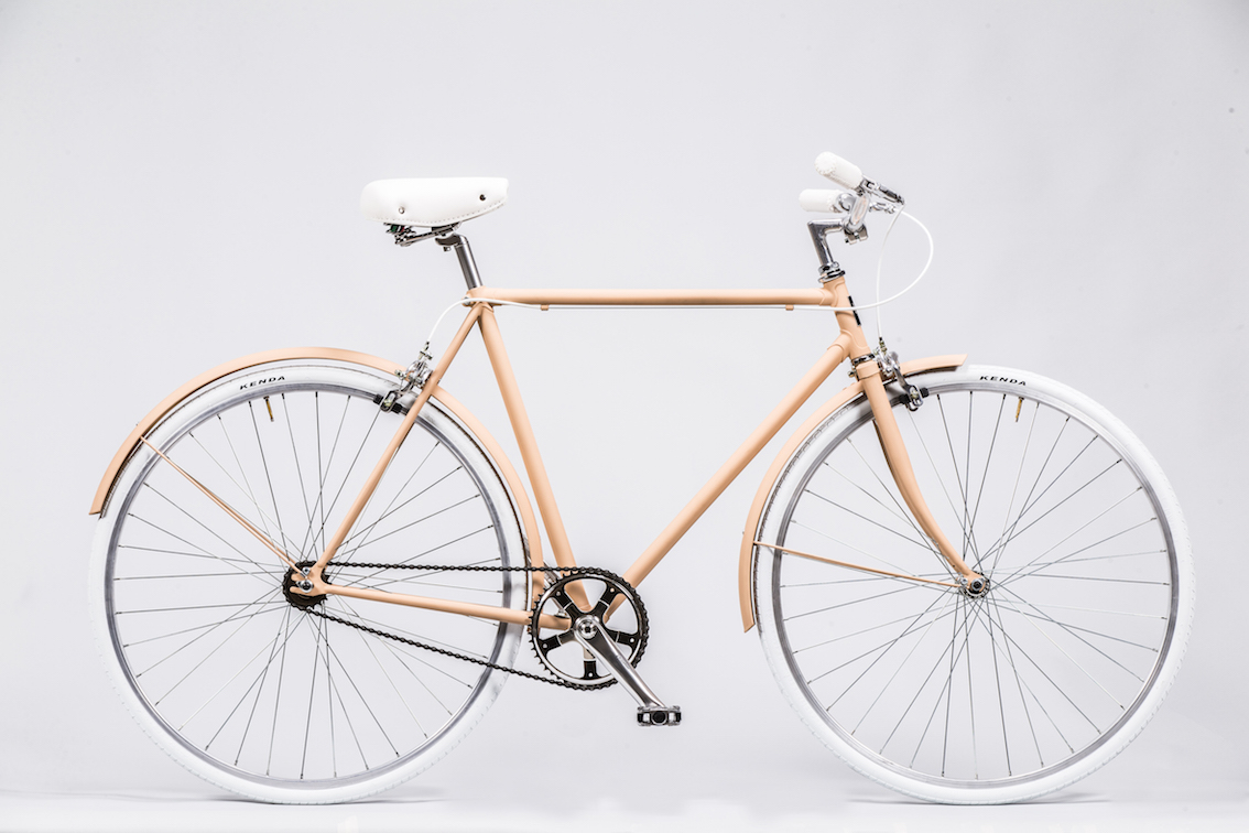 b.ciclo blight