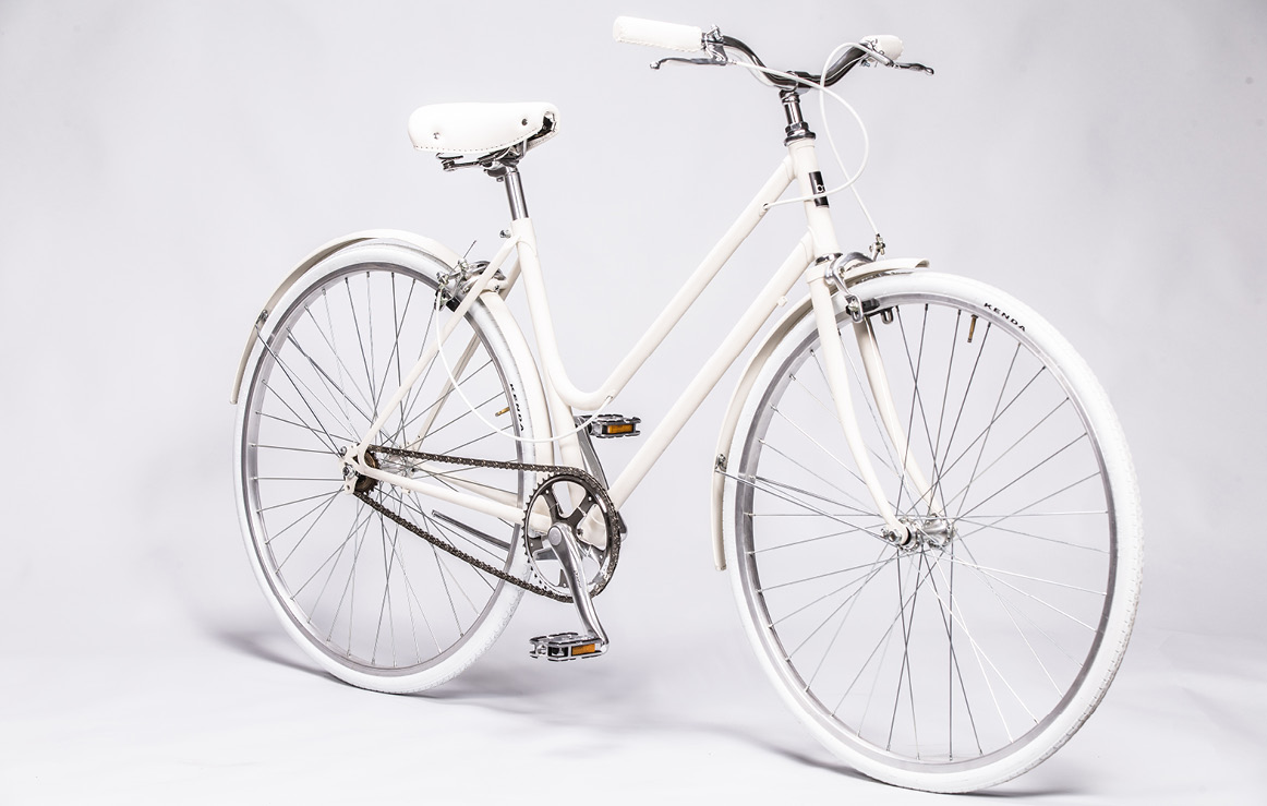 b.ciclo blight