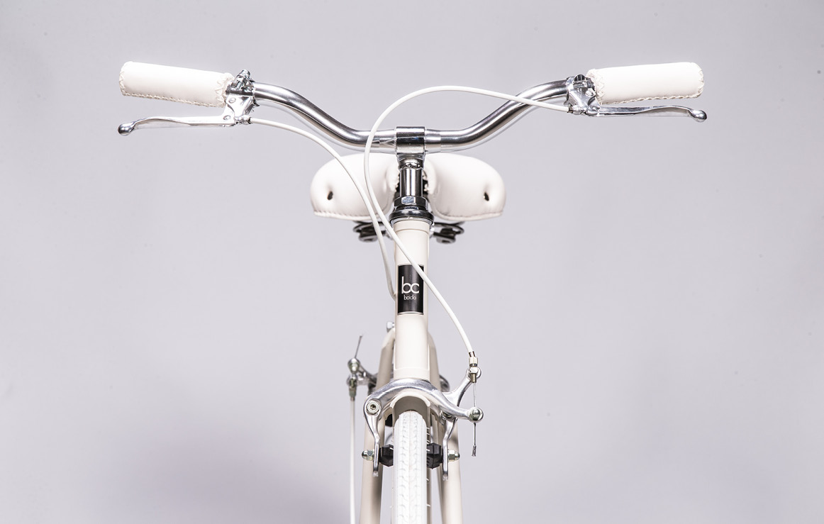 b.ciclo blight
