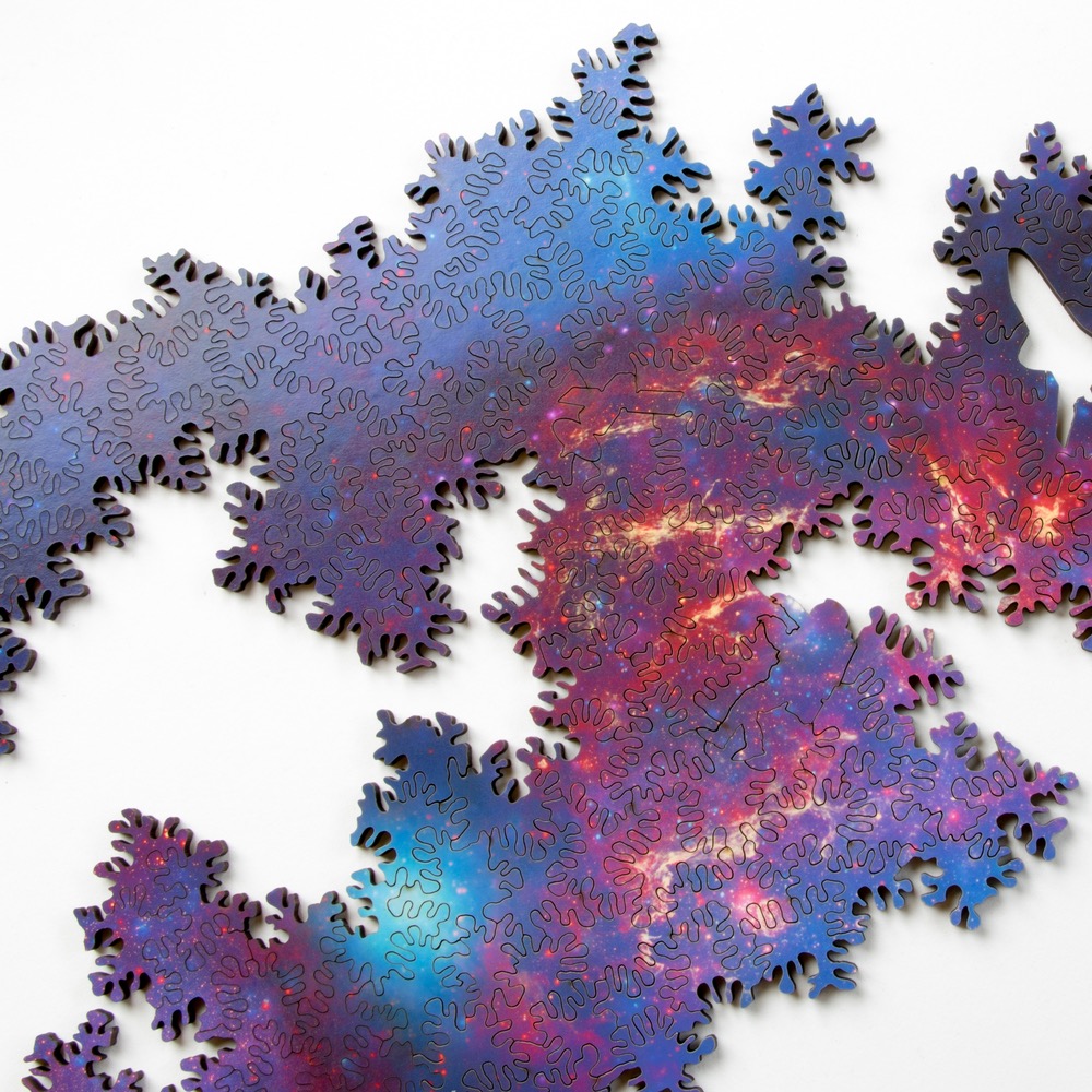 (foto: nervous system)