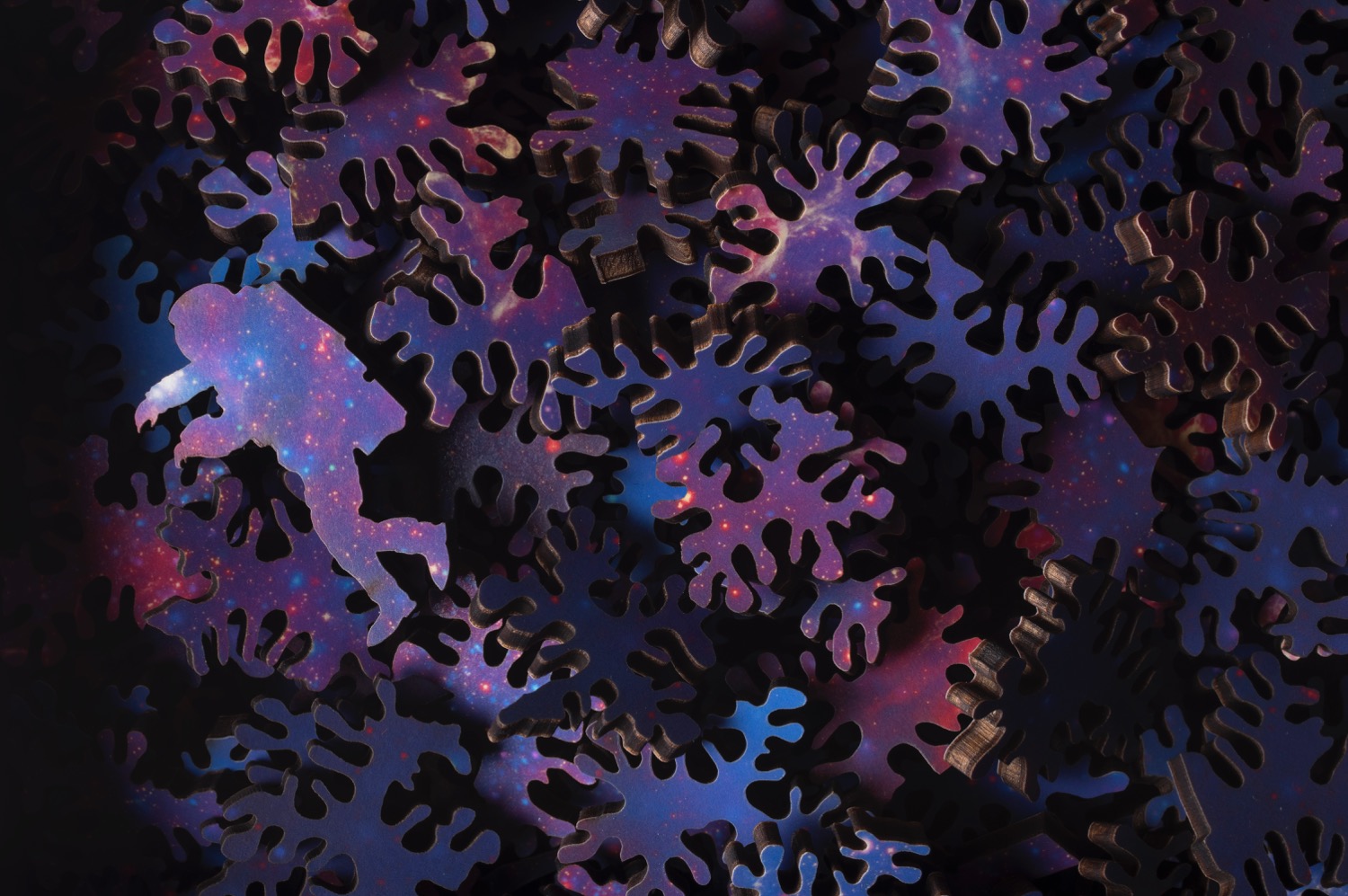 (foto: nervous system)