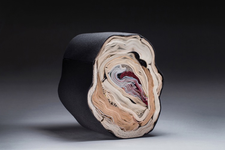 Strata, 2016 © Jacqueline Rush Lee (photo: Brad Goda)