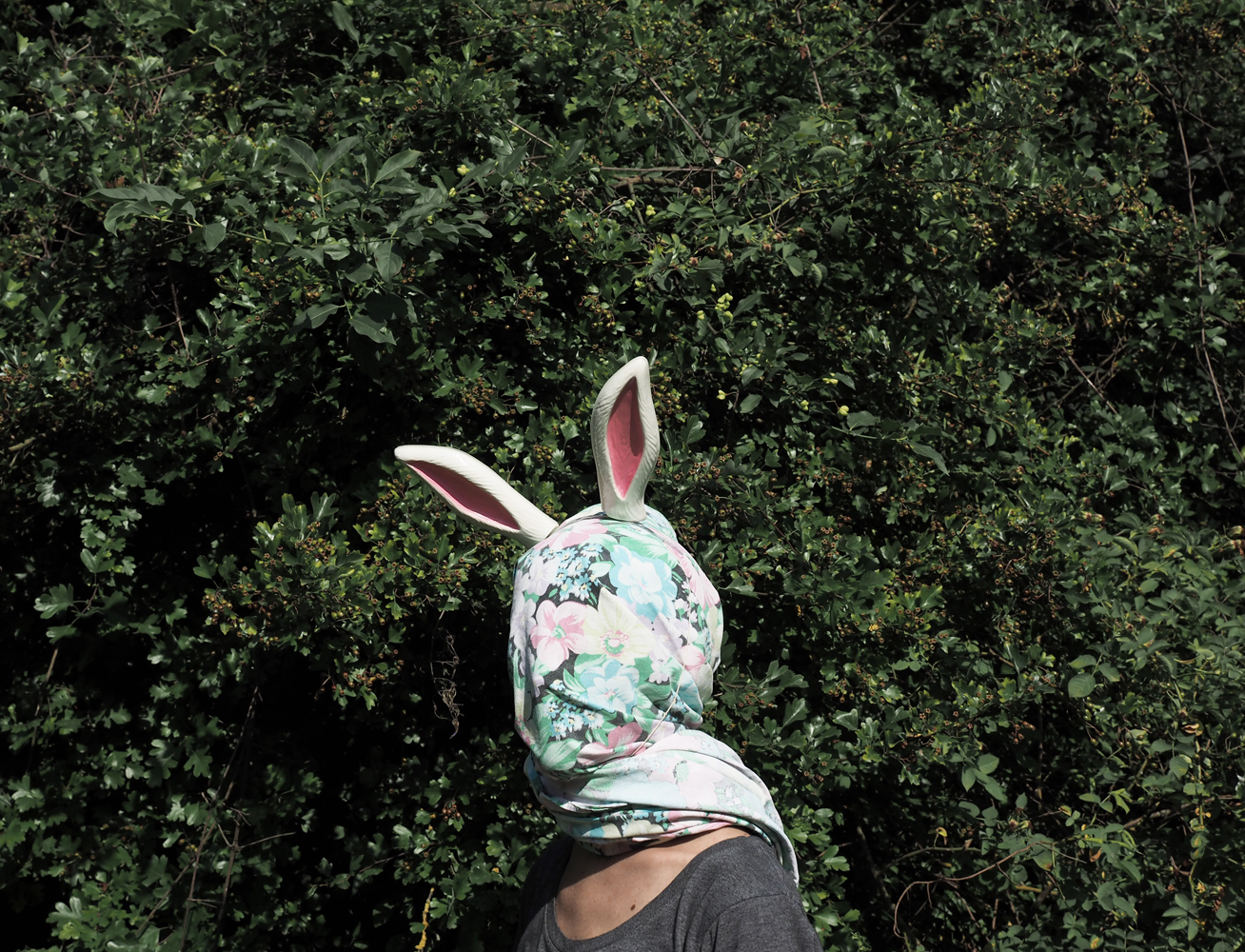 © Sandra Lazzarini